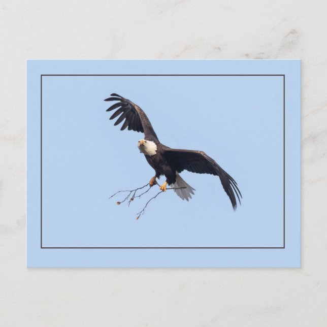 Sie hat einen Stock Postkarte (Vorderseite)