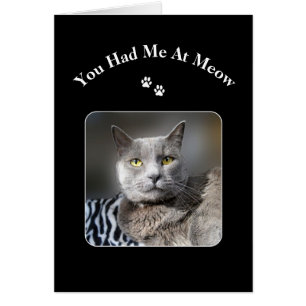 Sie hatten mich an der Meow-russischen blauen