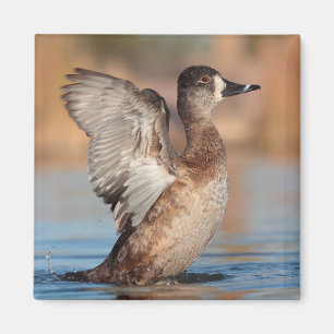 Sie ist eine Flapperin Magnet