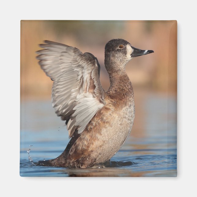 Sie ist eine Flapperin Magnet (Vorne)