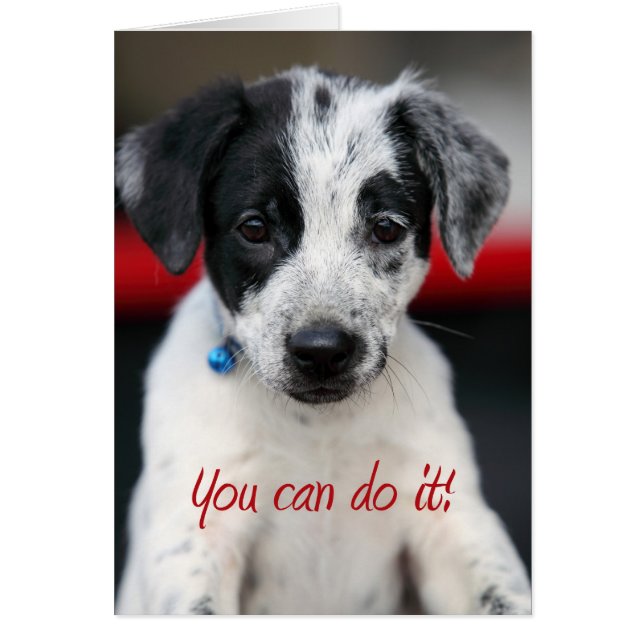 Sie können es tun (Vorne)