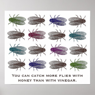Sie können mehr fliegen mit Honig als Essig fangen Poster