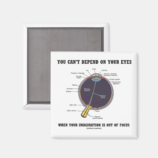 Sie können nicht von Ihrem Blickwinkel abhängig se Magnet (Vorderseite/Rückseite)