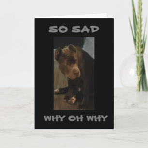 *SIE KÖNNEN SICH NICHT BEWEGEN, ICH WERDE "FEHLEN  KARTE