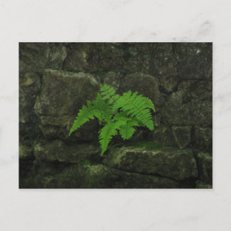 Sie können überleben... postkarte