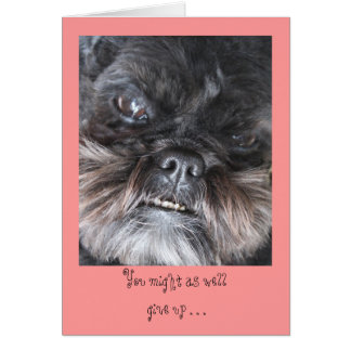 Sie konnten als wellgive hohe… Karte