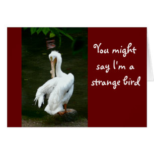 "SIE KÖNNTEN SAGEN, ICH BIN EIN STARKES GEBIET..."