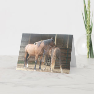 Sie kratzen mir den Rücken......... Dankeskarte