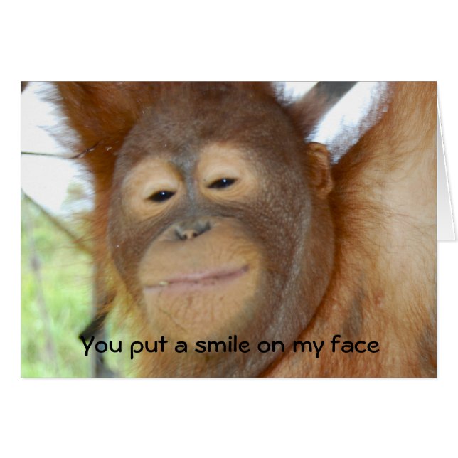 Sie lächeln mir ins Gesicht (Vorderseite (Horizontal))