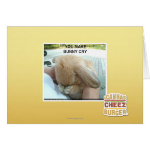 Sie lassen Häschen schreien