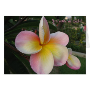 Sie lassen mich lächeln!