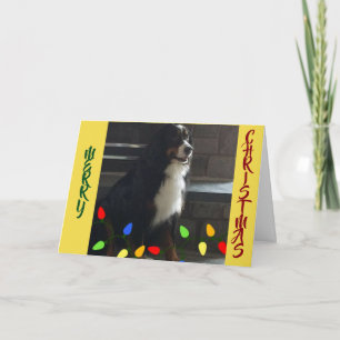 ***SIE LEUCHTEN MEIN LEBEN*** NUR DIE CHRISTMAS-LI KARTE