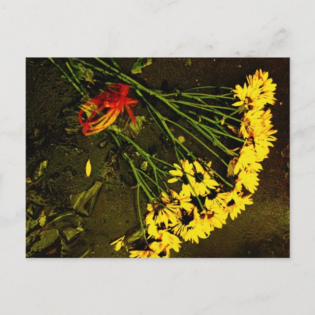 Sie Liebe mich NICHT! Postkarte (Vorderseite)