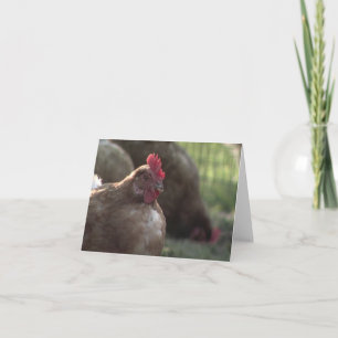 Sie Lookin an mir? Mitteilungskarten