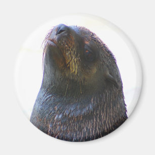 Sie mich betrachtend! magnet