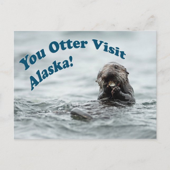 Sie Otter Besuch Alaska Postkarte (Vorderseite)