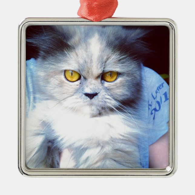 sie persian cat 5 ornament aus metall (Vorne)