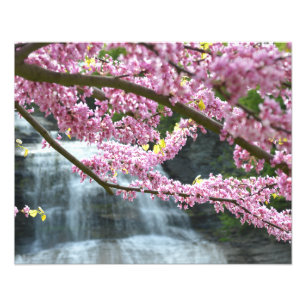 Sie-qua-GA Wasserfall 20"" Druck des Foto-x16