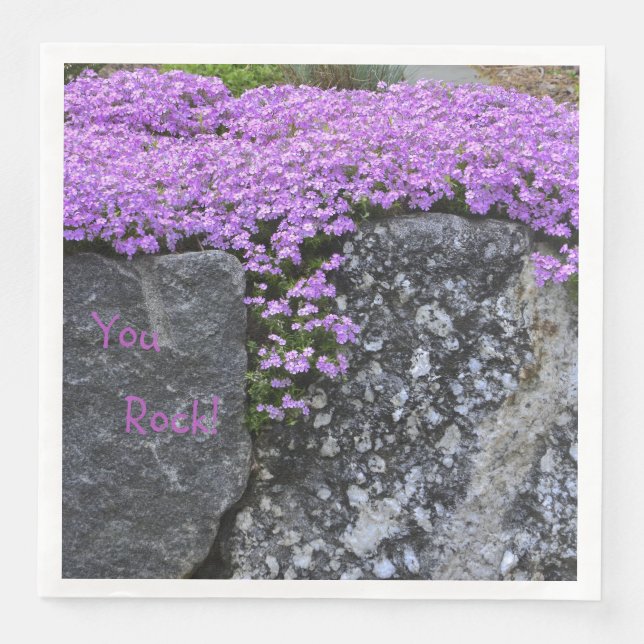 Sie Rock Lila Phlox Serviette (Vorderseite)