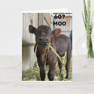 SIE SEHEN KEINEN TAG ÜBER 49 "60. GEBURTSTAG" KARTE