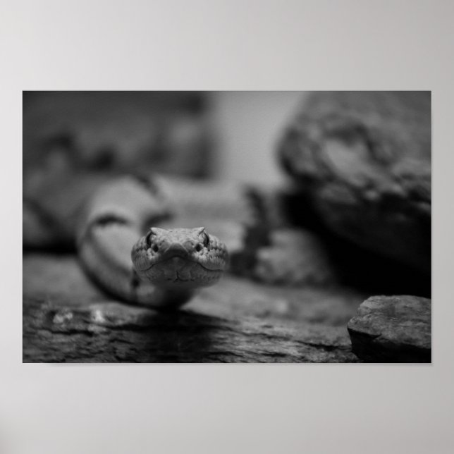 Sie sehen poster (Vorne)