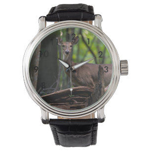Sie sehen sich um armbanduhr