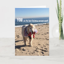 Sie sind das beste Weihnachtsgeschenk aller Zeiten