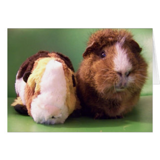 Sie sind die echte Deal Card