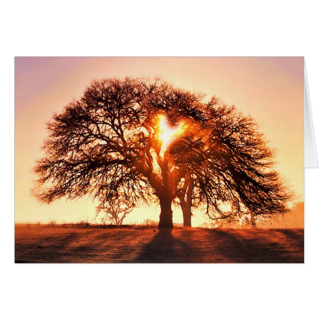 Sie sind ein liebes Herz und Eichenbaum (Vorderseite (Horizontal))