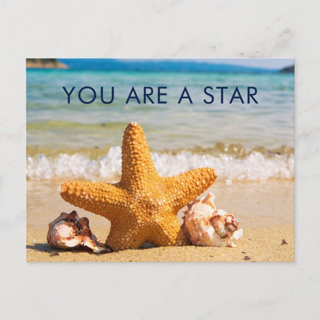 Sie sind ein Star Starfish and Seashells am Strand Postkarte (Vorderseite)