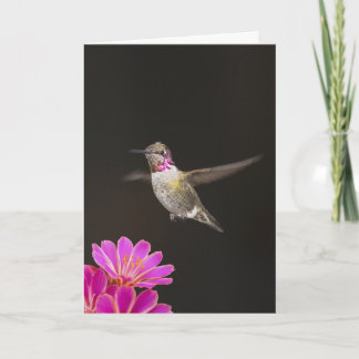 SIE sind EINE HUMMER-GEBURTSTAGS-KARTE Karte