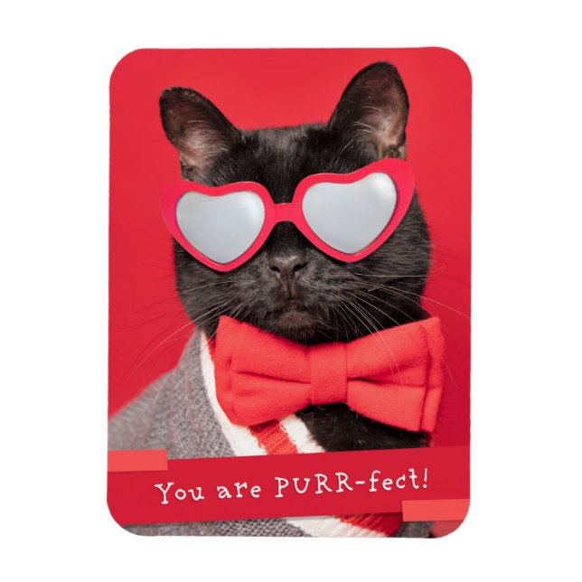 Sie sind eine Niedliche Katze mit PURR-Fect Magnet (Vertikal)