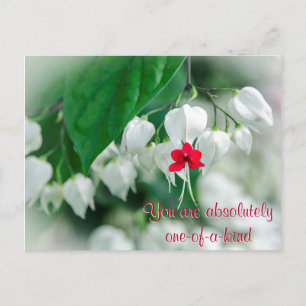 Sie sind eine Postkarte