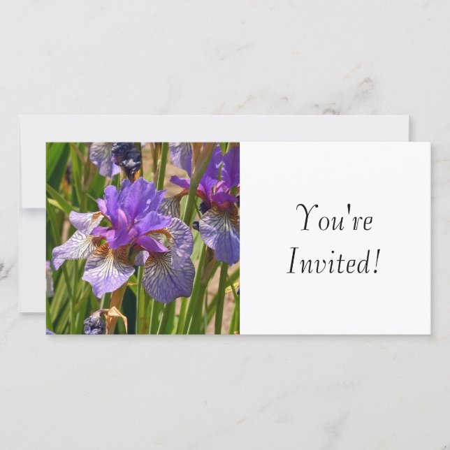 Sie sind eingeladen (Vorderseite)