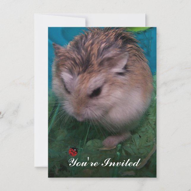 Sie sind eingeladen einladung (Vorderseite)