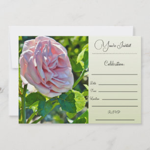 Sie sind eingeladen - Einzelne Rose Einladung