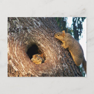 Sie sind eingeladen_ Postcard_by Elenne Einladungspostkarte