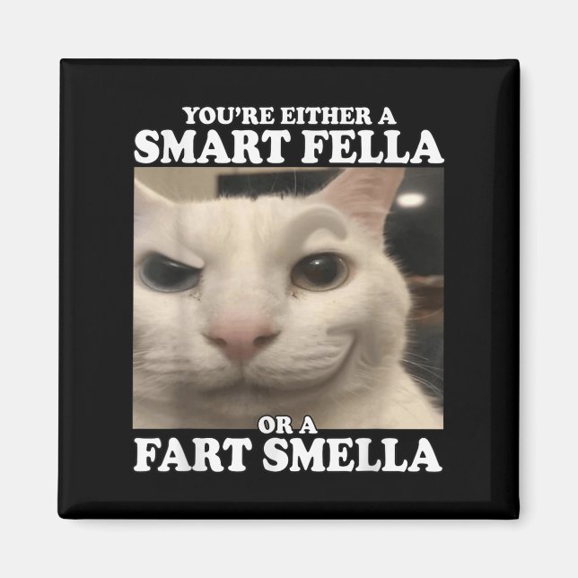Sie sind entweder eine kluge Fella oder eine Furz  Magnet (Vorne)