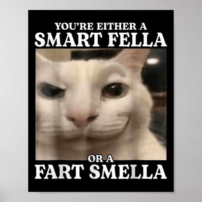 Sie sind entweder eine Smart Fella oder eine Furz  Poster (Vorne)