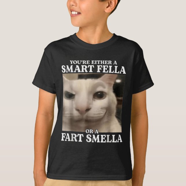 Sie sind entweder eine Smart Fella oder eine Furz  T-Shirt (Vorderseite)