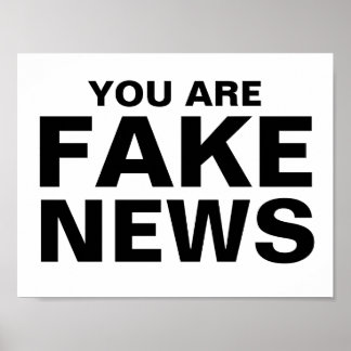 Sie sind Fake News Poster