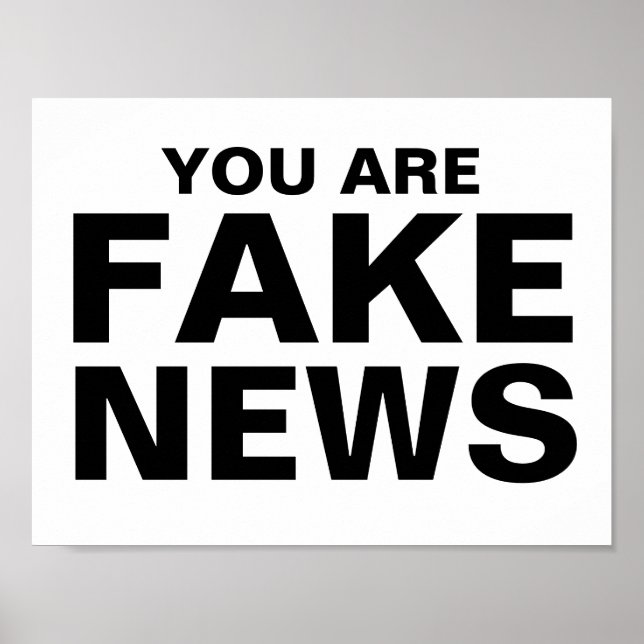 Sie sind Fake News Poster (Vorne)