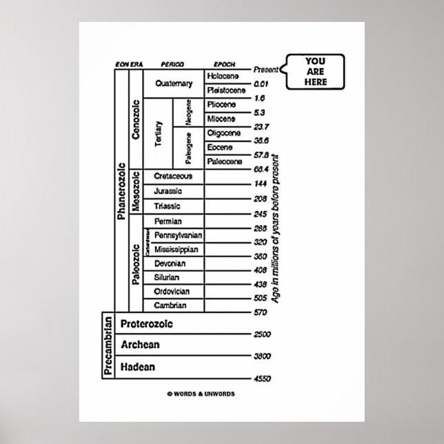 Sie sind hier (Erdgeschichte des geologischen Zeit Poster (Vorne)