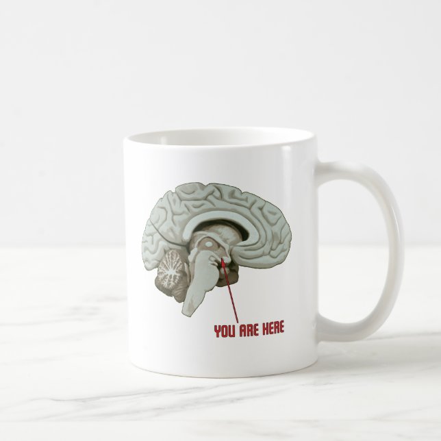 Sie sind hier kaffeetasse (Rechts)