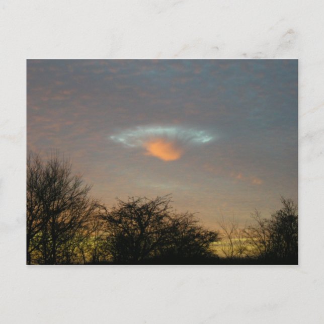 . . . Sie sind hier! Postkarte (Vorderseite)