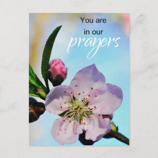 Sie sind in unserer Gemeinde der Gebetskirche Postkarte