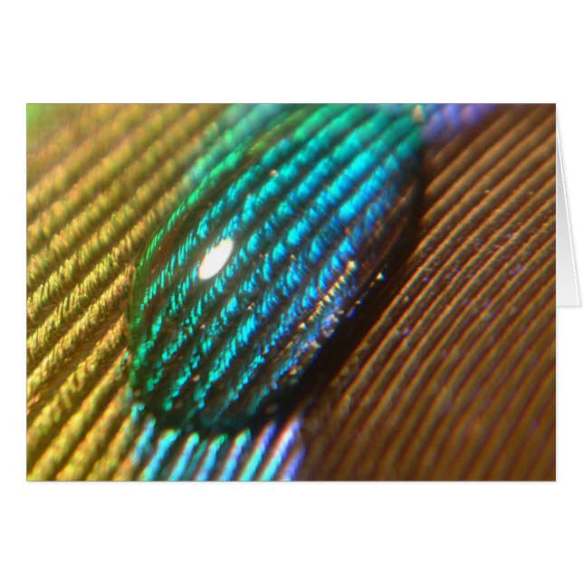 Sie sind mein REGENBOGEN (Vorderseite (Horizontal))