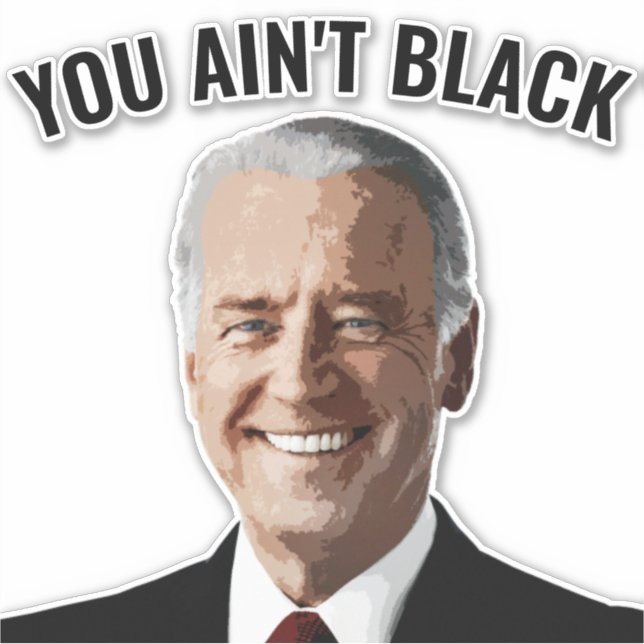 SIE SIND NICHT SCHWARZ JOE BIDEN AUTO DECAL STICKE AUFKLEBER (Vorderseite)