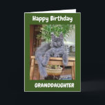 SIE SIND PHANTASTISCH **GRANDDAUGHTER** GEBURTSTAG KARTE<br><div class="desc">VIELEN DANK,  DASS SIE VON EINER MEINER ACHT GESCHICHTEN GESCHAFFEN HABEN!!!</div>