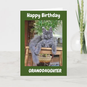 SIE SIND PHANTASTISCH **GRANDDAUGHTER** GEBURTSTAG KARTE